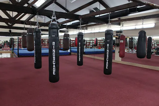 World Boxing Gym
