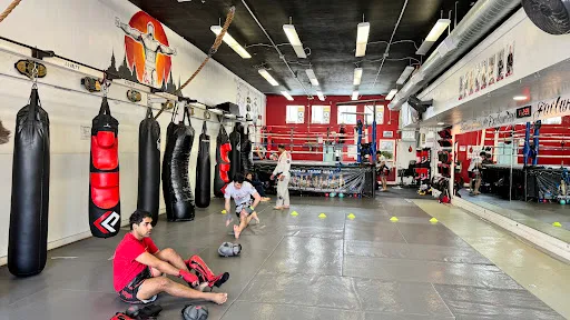 World Team USA Muay Thai BJJ & Fitness