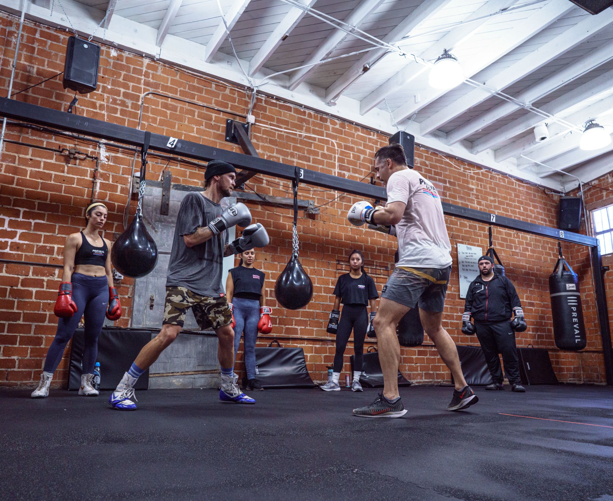 Young boxer in training gear